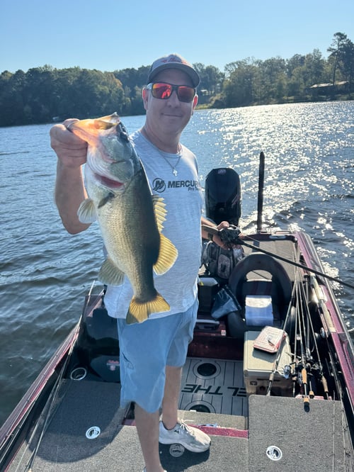Full Day Bass Fishing