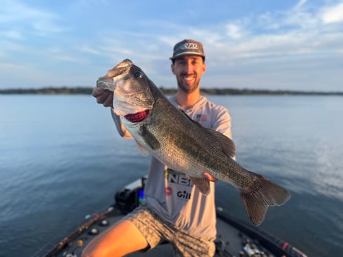Full Day Bass Fishing