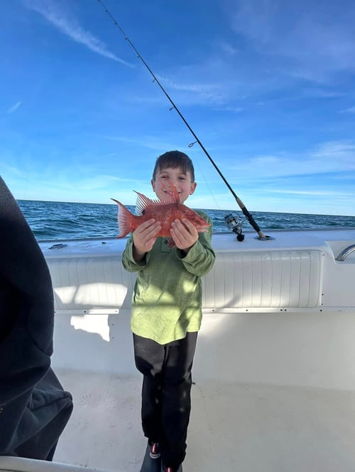 Hogfish Hoedown