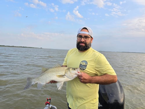 Cheney Reservoir Trip
