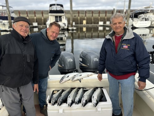 6 Hour Trip – Salmon/Crab Combo