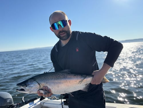 6 Hour Trip – Salmon/Crab Combo