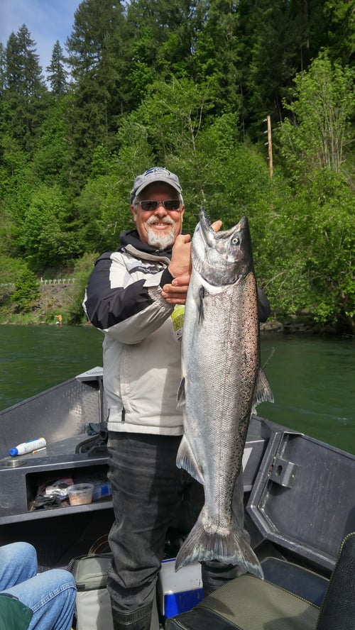 King Salmon Trip