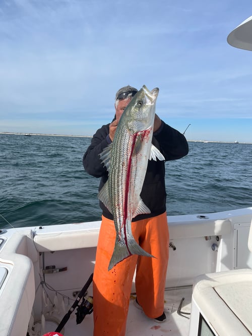 1/2 day inshore
