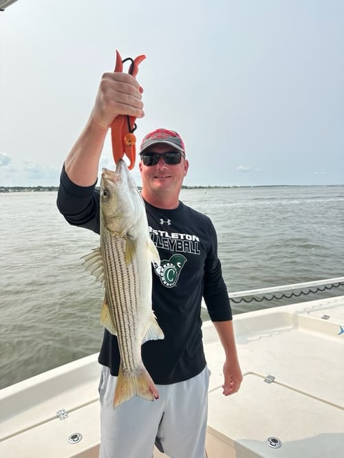 Striped Bass Fishing in Ocean City, Maryland