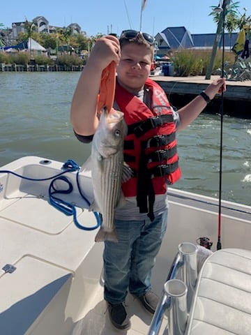Striped Bass Fishing in Ocean City, Maryland