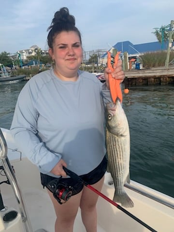 3 hour inshore adventure