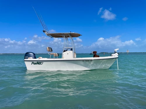 The Sebastian Inlet 