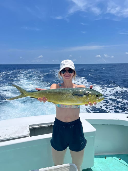Mahi Mahi Fishing in Ocracoke, North Carolina