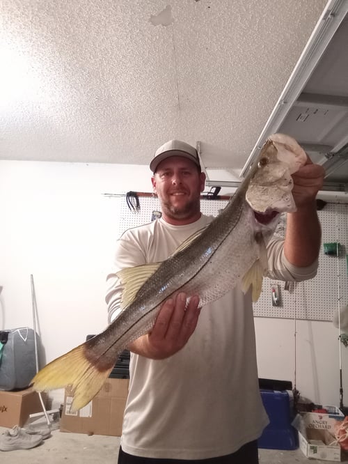 Snook Trip