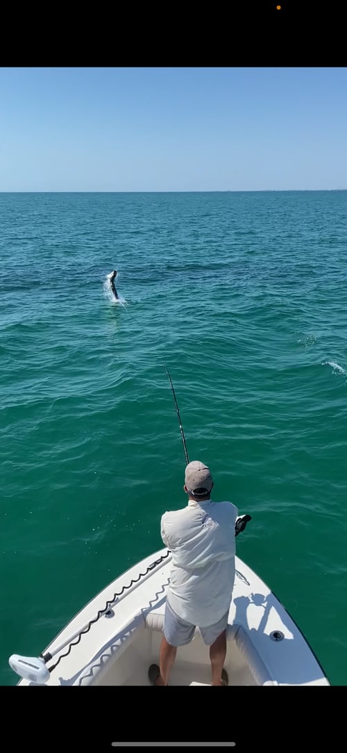 Boca Grande Tarpon Fishing