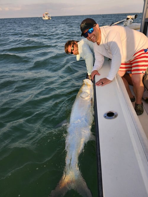 Boca Grande Tarpon Fishing