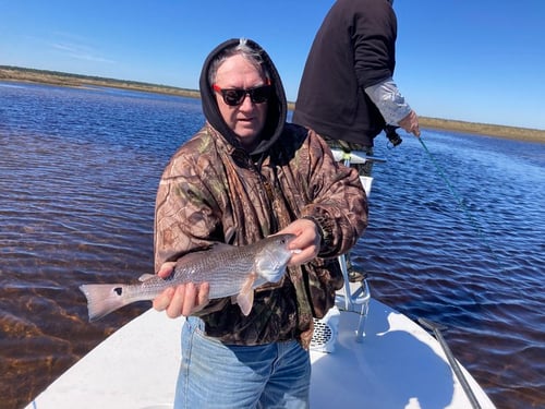 Fly Fishing Trip