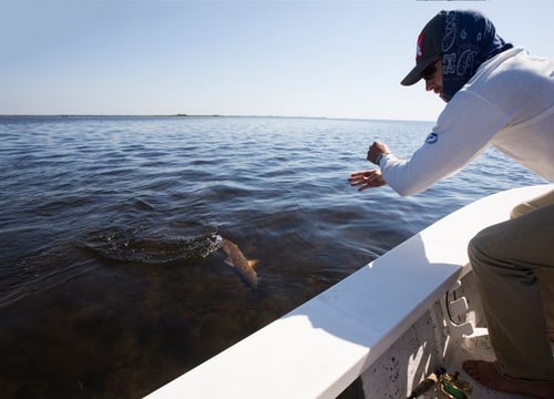 Fly Fishing Trip