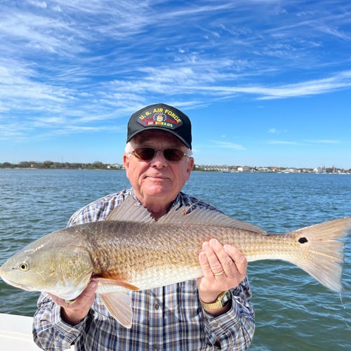 Inshore Trips