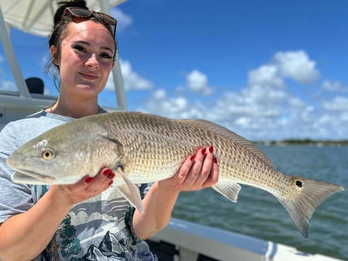 Inshore Trips
