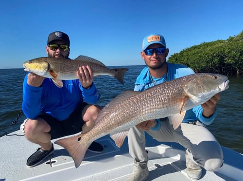 Half Day or Full Day Inshore Fishing