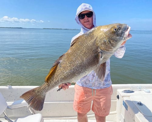 Half Day or Full Day Inshore Fishing