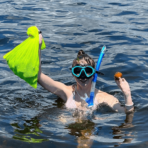 Half Day Trip – Scallop