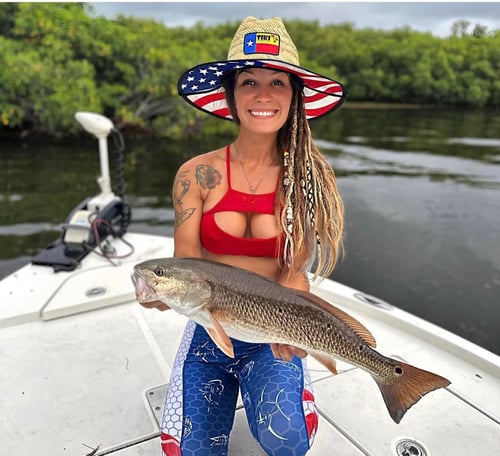 Half Day or Full Day Trip Inshore