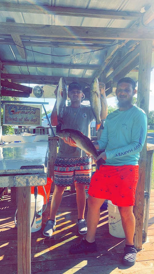 Inshore/ Nearshore Fishing Trip