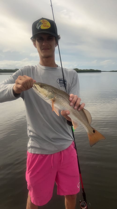 Inshore/ Nearshore Fishing Trip