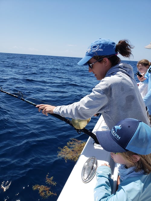 Daytime Swordfishing