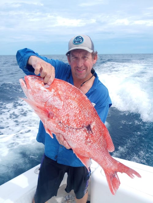 Gulf of Mexico Blast!