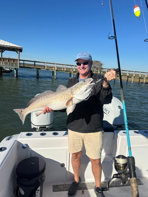 Inshore Fishing - 26' Twin Vee