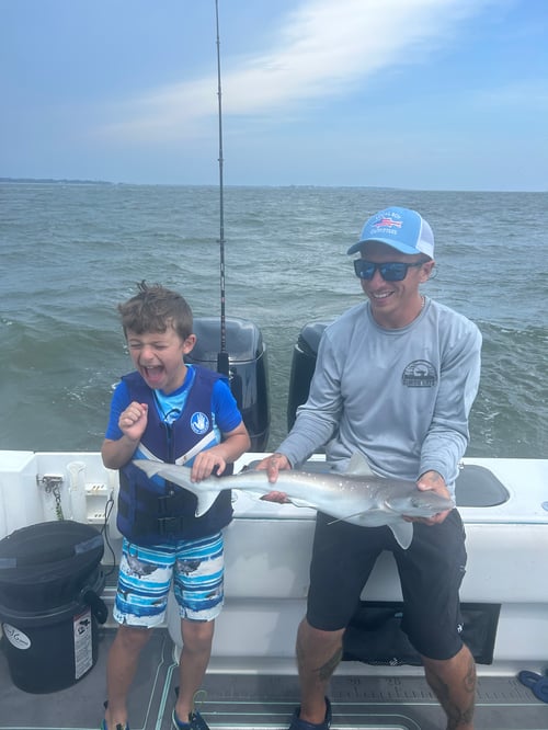 Inshore Fishing - 26' Twin Vee