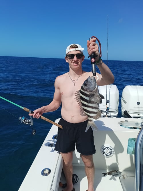 Nearshore Reef & Wreck Trips