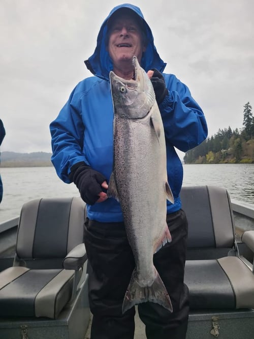 Lower Columbia Spring Chinook