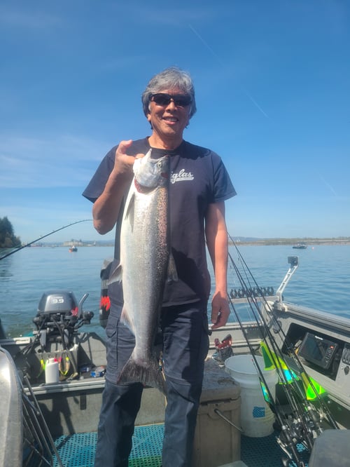 Lower Columbia Spring Chinook