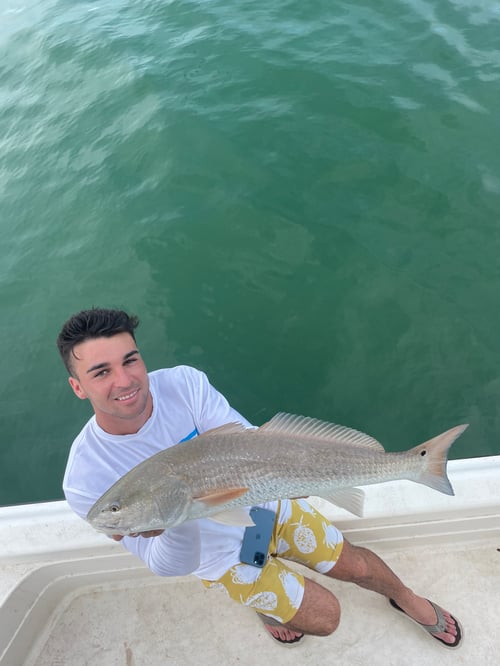 4hr inshore