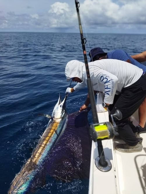 Sportfishing Trip