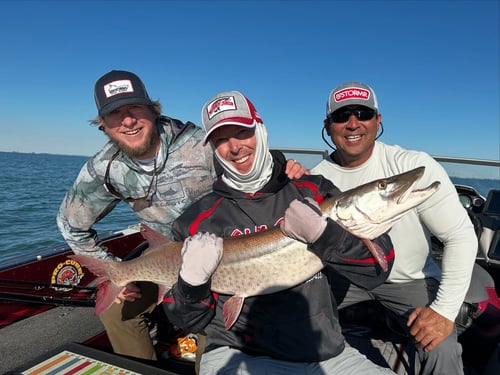 Musky Trolling Trip 6hrs