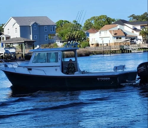 Inshore Fishing Trip