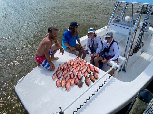 Let’s enjoy nature’s bounty 