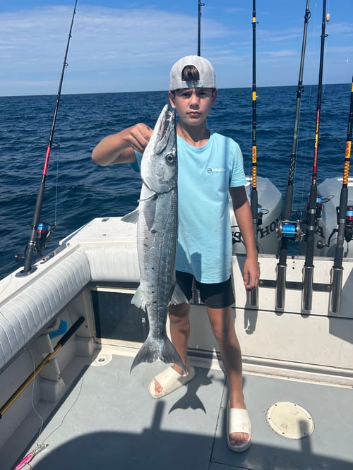 4 hour offshore