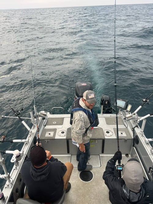 Salmon Trips