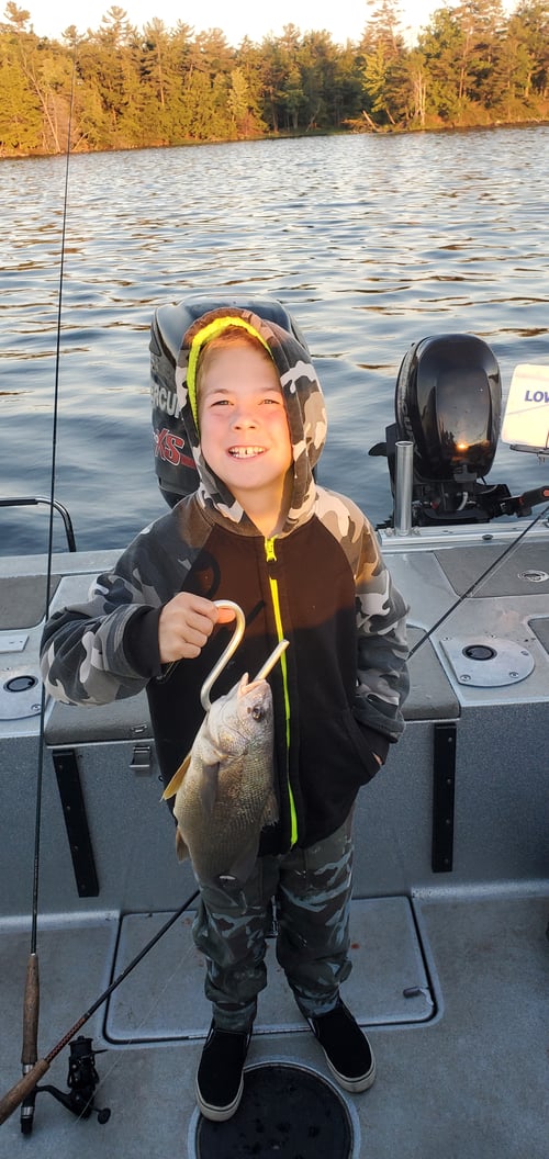 Freshwater Drum Trips