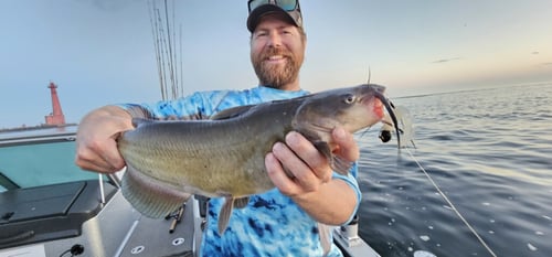 Freshwater Drum Trips