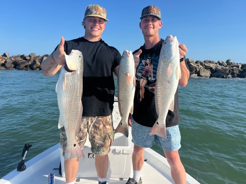 Redfish Fishing in Orange Beach, Alabama
