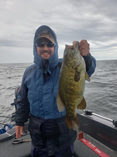 Full Day or Half Day Trip – Bass