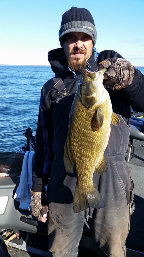 Full Day or Half Day Trip – Bass