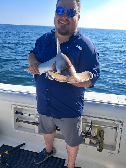 Half Day Trip – Nearshore