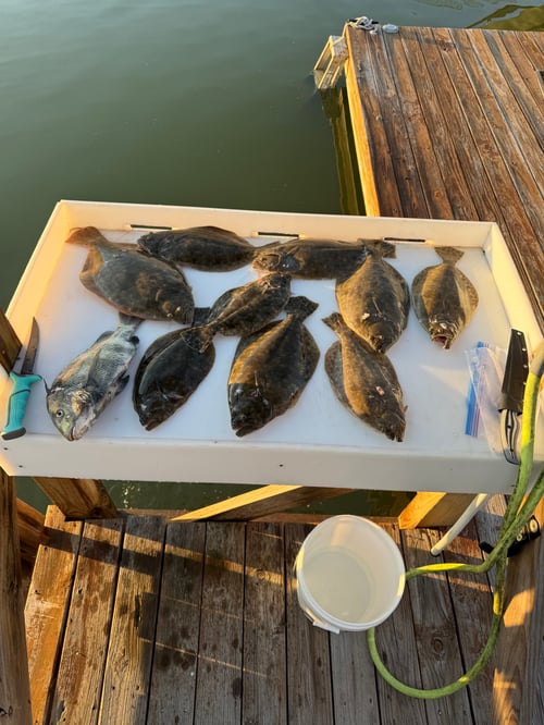 Flounder Gigging