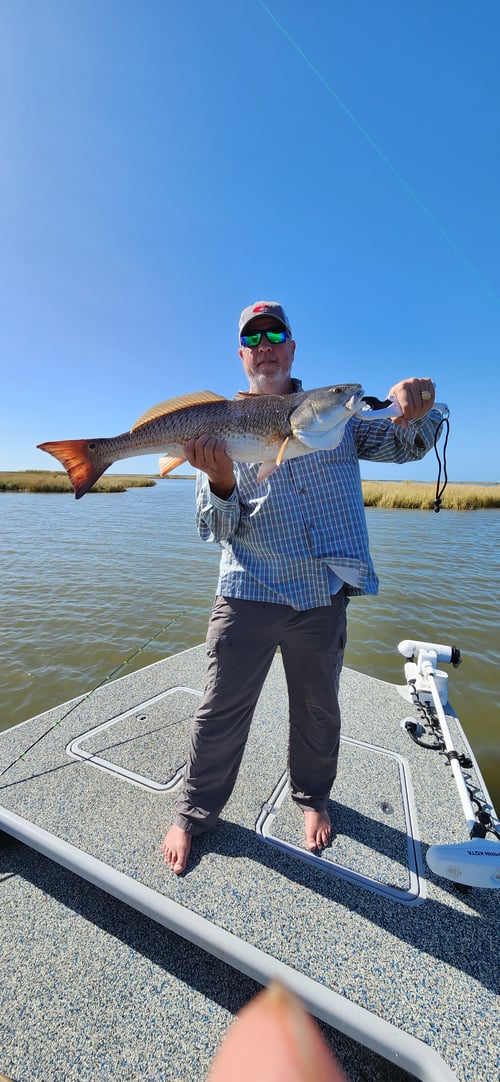 Fishing Surfside/Freeport bays