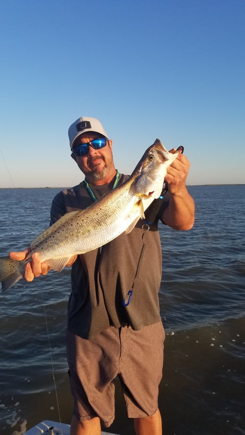Wade East Matagorda