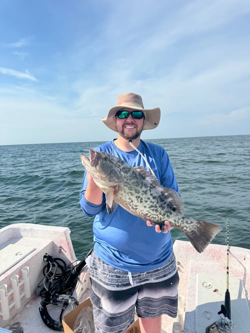 4 hour Inshore/nearshore 